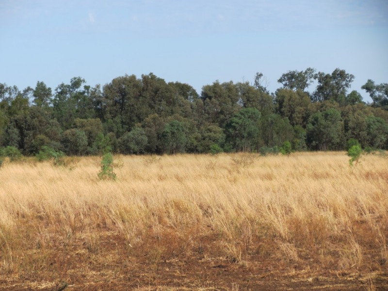 Lot 193 Capricorn Highway, Emerald QLD 4720