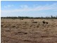 Lot 193 Capricorn Highway, Emerald QLD 4720
