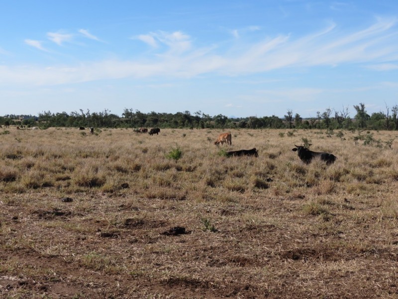 Lot 193 Capricorn Highway, Emerald QLD 4720