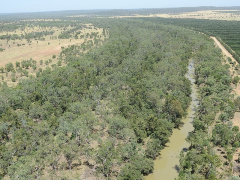 Lot 81 Chudleigh Drive, Emerald QLD 4720