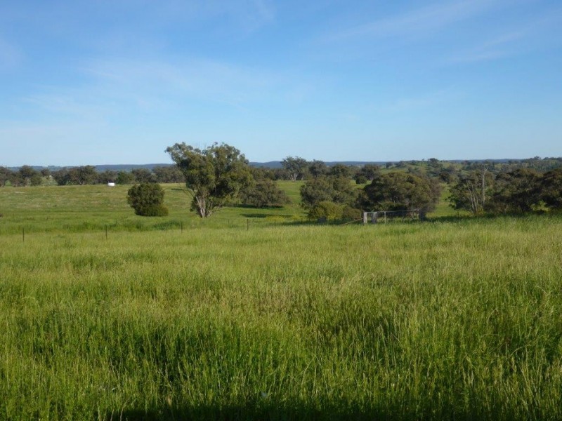 Coonabarabran NSW 2357