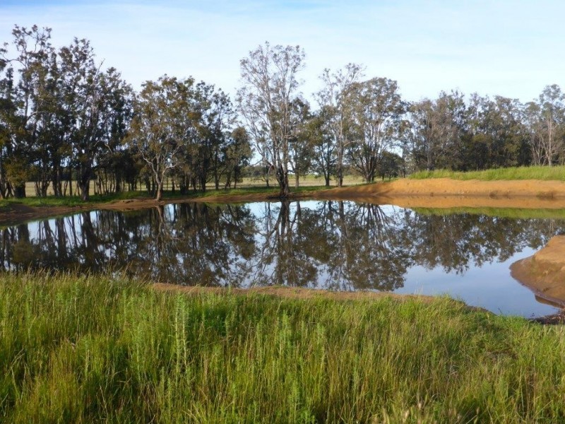 Coonabarabran NSW 2357