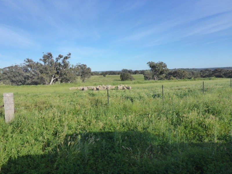 Coonabarabran NSW 2357