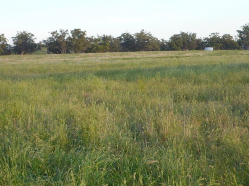 Coonabarabran NSW 2357