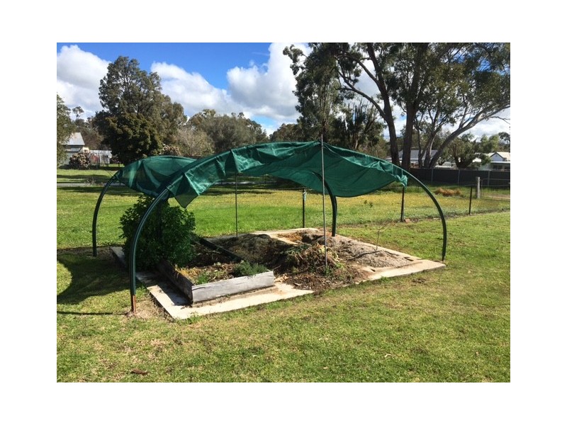 16 Knight St, Coonabarabran NSW 2357