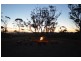 Coonabarabran NSW 2357
