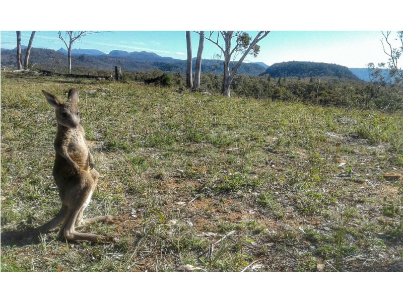 Coonabarabran NSW 2357
