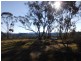 Coonabarabran NSW 2357