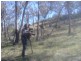 Coonabarabran NSW 2357