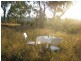 Coonabarabran NSW 2357