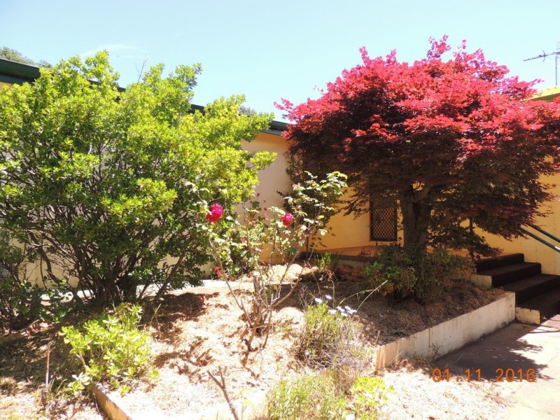 5 Cassilis St, Coonabarabran NSW 2357