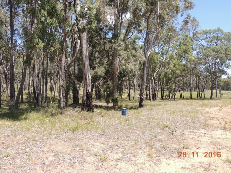 403 Timor Road, Coonabarabran NSW 2357