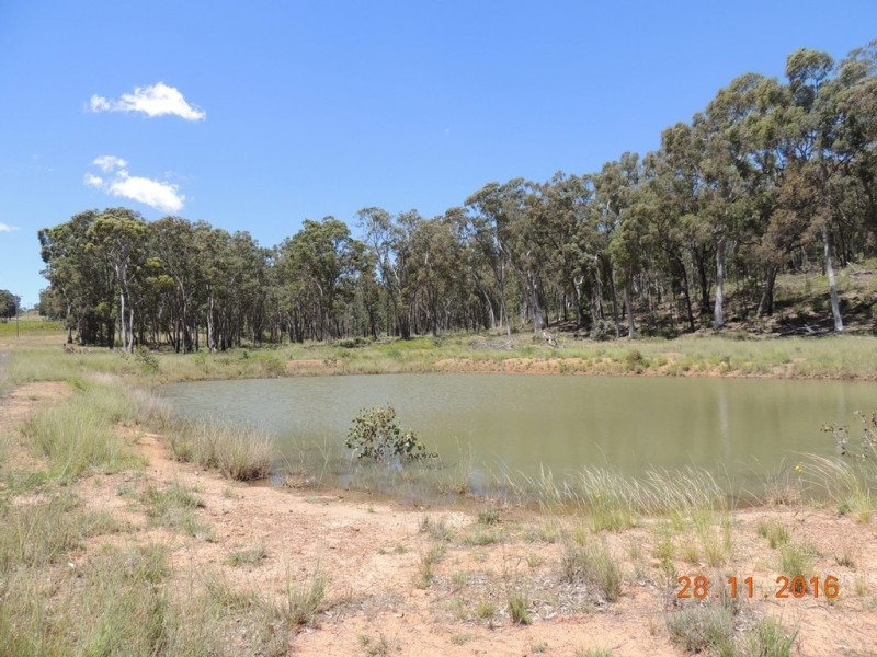 403 Timor Road, Coonabarabran NSW 2357