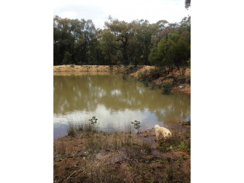 3873 Baradine Road, Coonabarabran NSW 2357