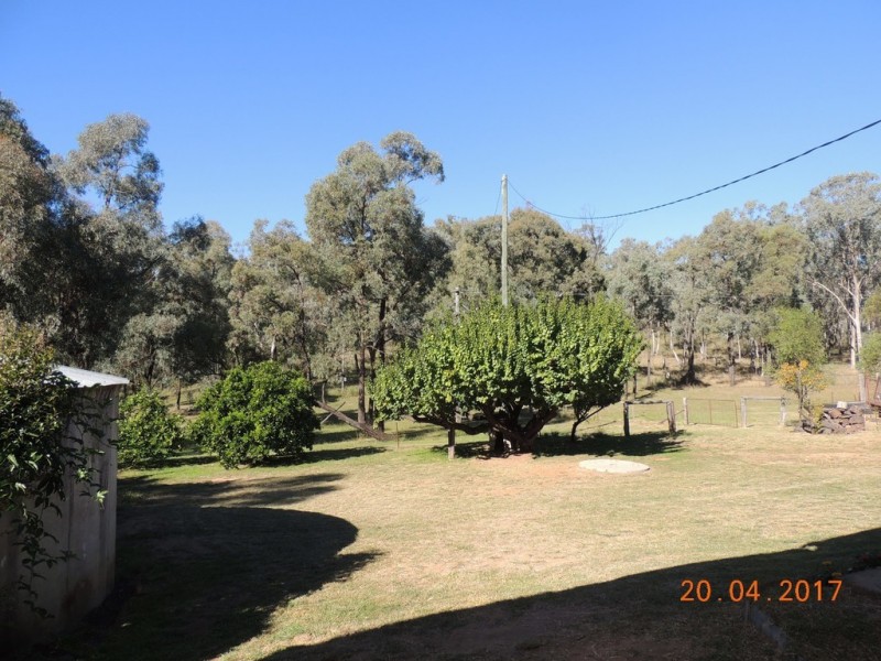 3873 Baradine Road, Coonabarabran NSW 2357