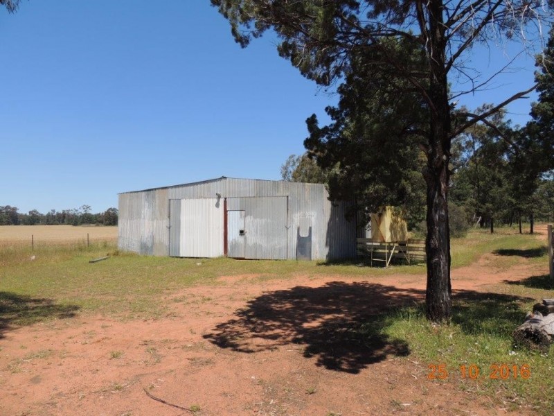 Lot 134 Hotchkiss Road, Baradine NSW 2396