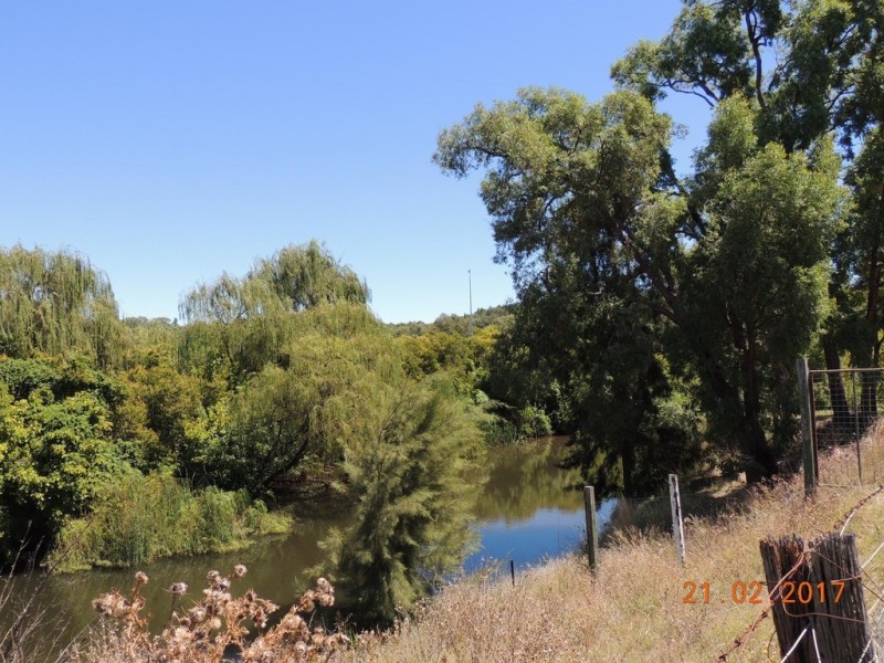 52-54 Cowper St, Coonabarabran NSW 2357