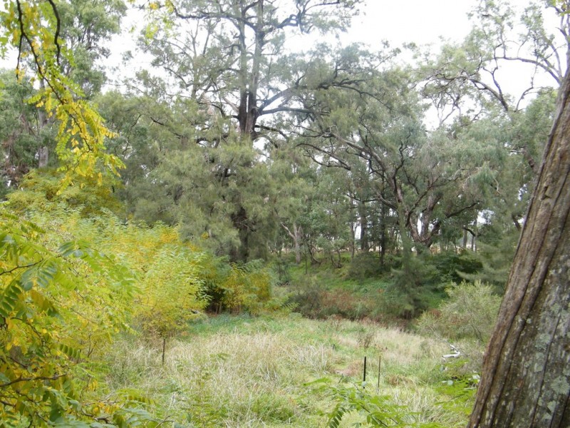 442 Timor Road, Coonabarabran NSW 2357