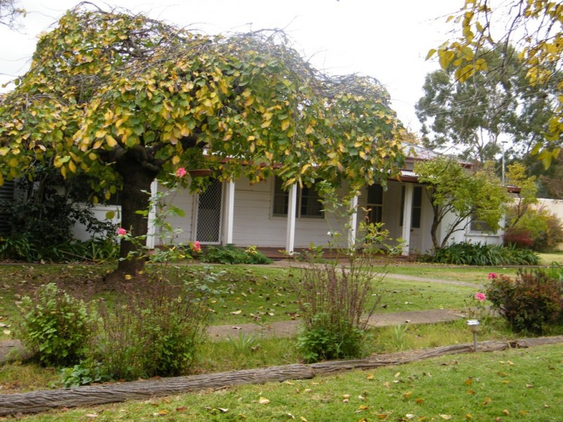 442 Timor Road, Coonabarabran NSW 2357