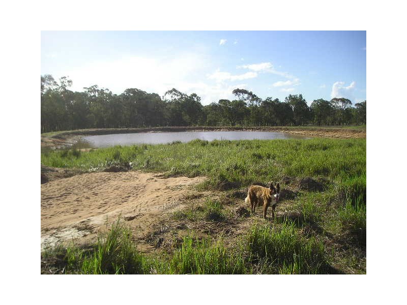 Lot 11 Box Ridge Road, Coonabarabran NSW 2357