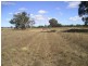 Lot 11 Box Ridge Road, Coonabarabran NSW 2357