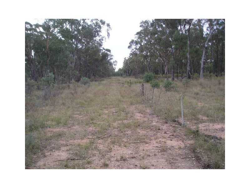 Lot 11 Box Ridge Road, Coonabarabran NSW 2357