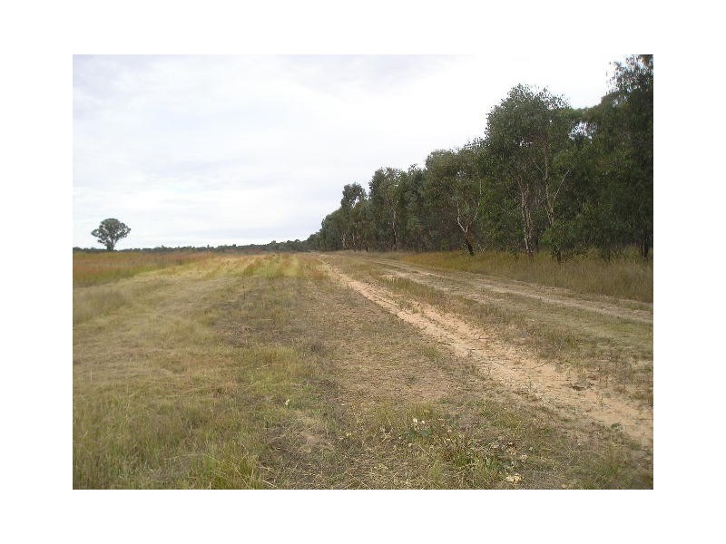 Lot 11 Box Ridge Road, Coonabarabran NSW 2357