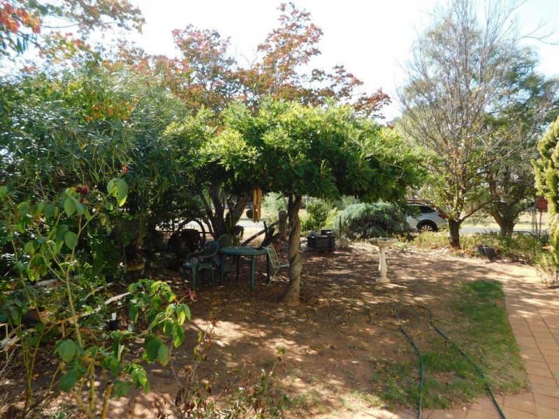 55-59 Castlereagh St, Baradine NSW 2396