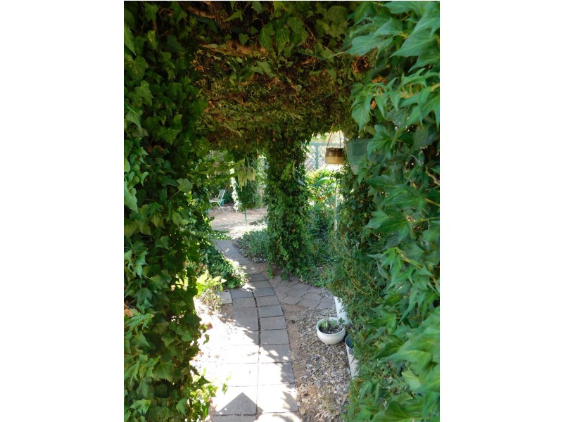 55-59 Castlereagh St, Baradine NSW 2396