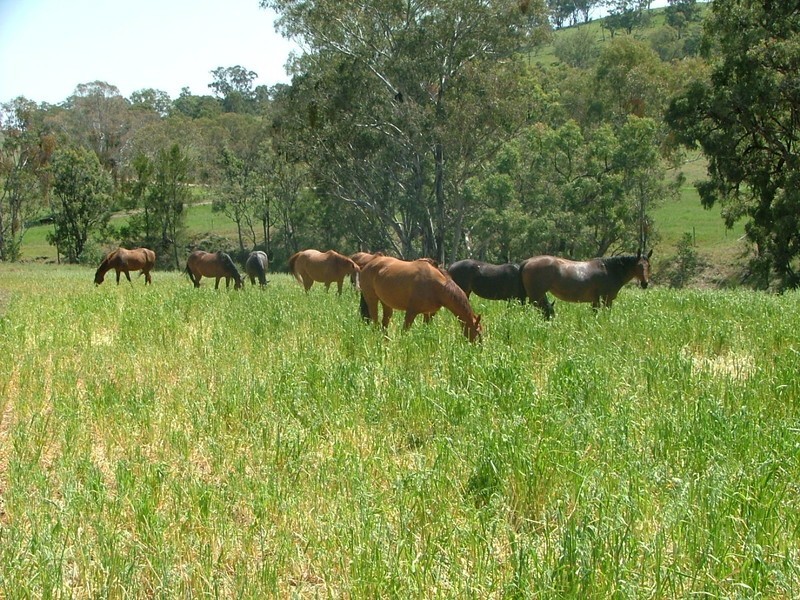 32 Fullers Lane “Mac’s Retreat”, Wallabadah NSW 2343