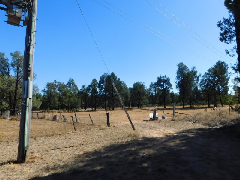 168 Namoi St, Baradine NSW 2396