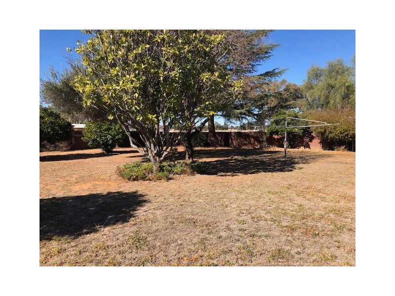 14 Gardiner st, Baradine NSW 2396