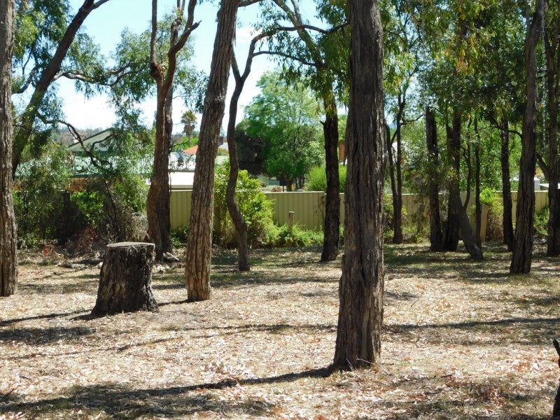 16 Cowper St, Coonabarabran NSW 2357