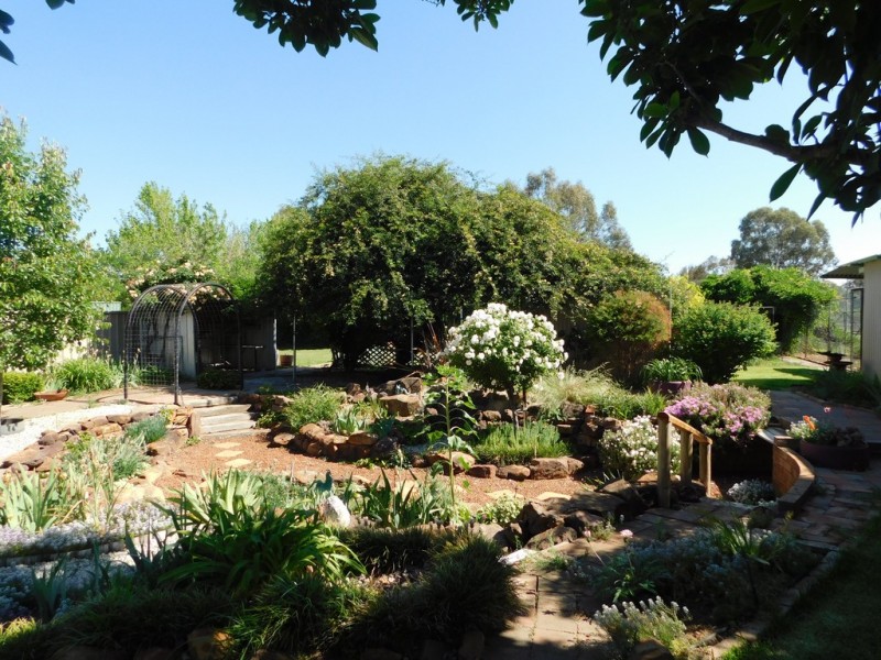 25 Drummond St, Coonabarabran NSW 2357