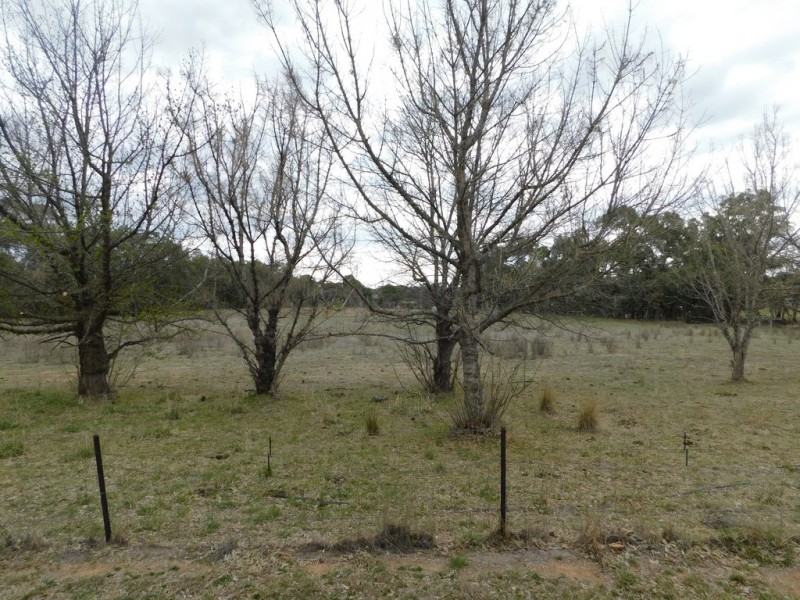 236 Timor Road, Coonabarabran NSW 2357