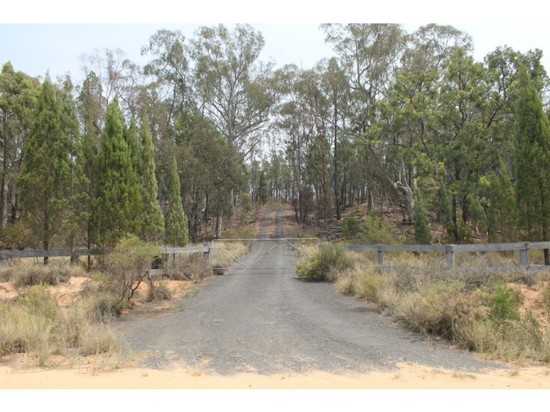 46 Hawkins Lane, Coonabarabran NSW 2357