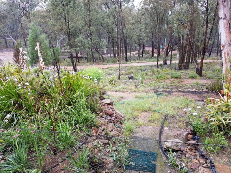 Coonabarabran NSW 2357