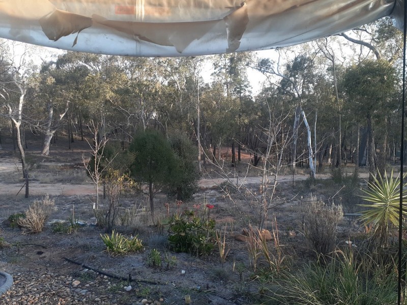 Coonabarabran NSW 2357