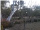 Coonabarabran NSW 2357