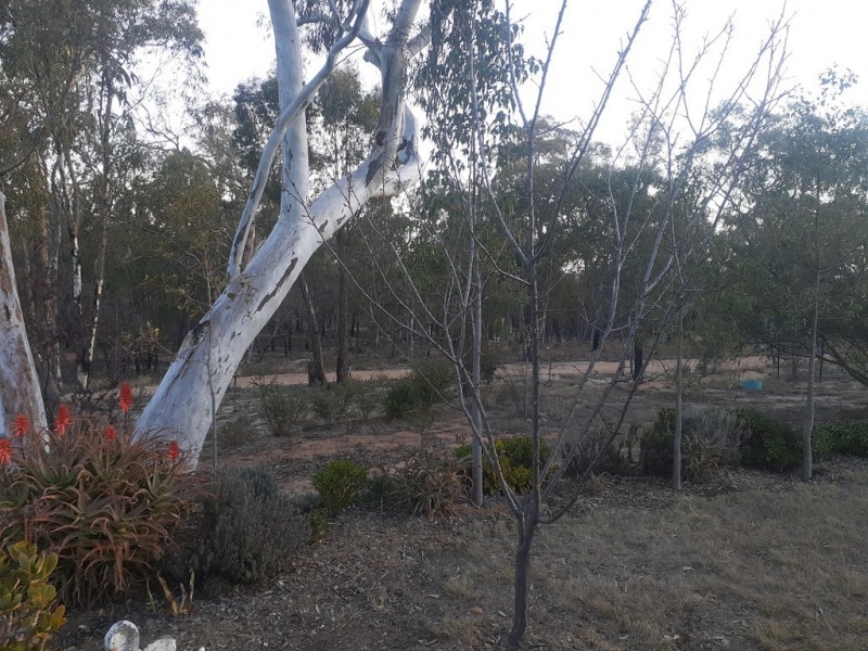 Coonabarabran NSW 2357