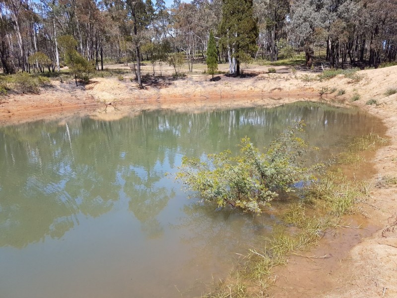 Coonabarabran NSW 2357