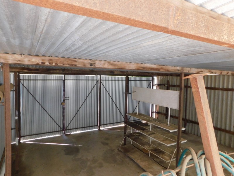 11 North St, Coonabarabran NSW 2357