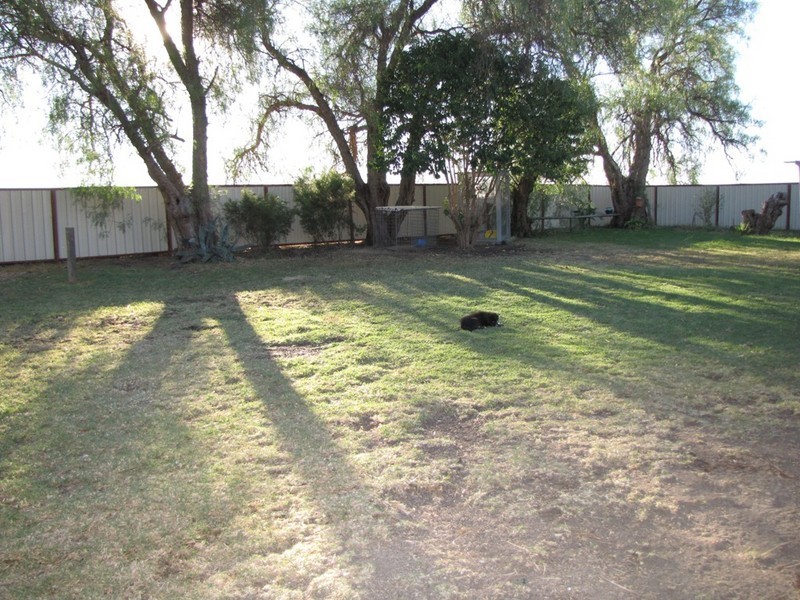 1773 Yetman Road, Inverell NSW 2360