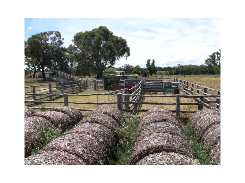 Newlands Ulamambri, Coonabarabran NSW 2357