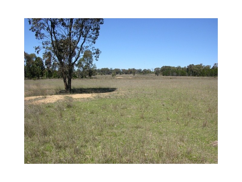 Newlands Ulamambri, Coonabarabran NSW 2357