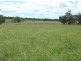 Newlands Ulamambri, Coonabarabran NSW 2357