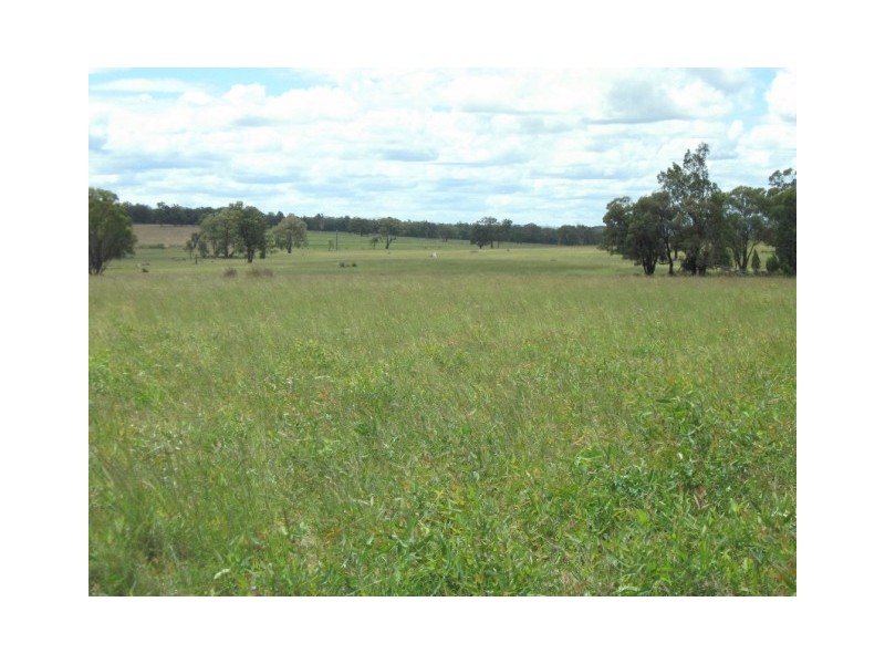 Newlands Ulamambri, Coonabarabran NSW 2357