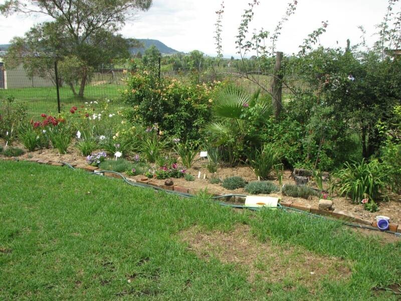 9 Allnutt Street, Quirindi NSW 2343