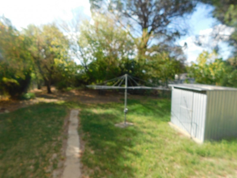 73 Edwards St, Coonabarabran NSW 2357