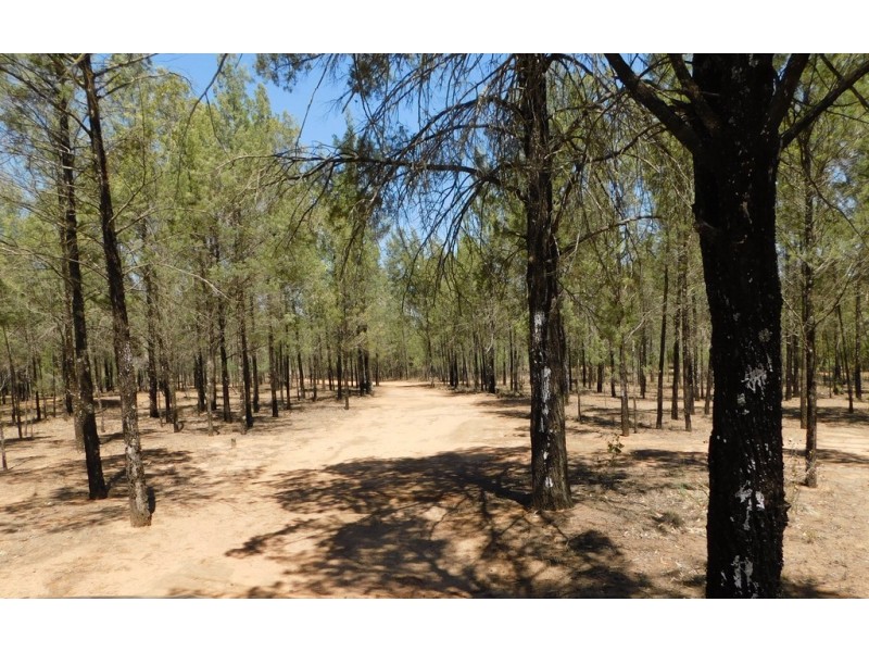 3 Aerodrome Road, Baradine NSW 2396